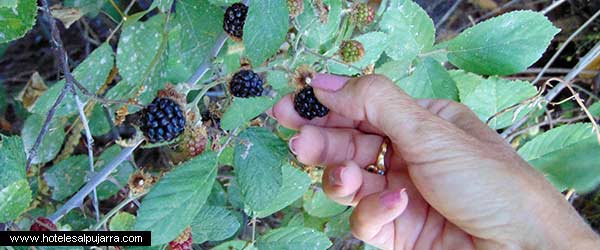 El Barranco de Poqueira: un tesoro natural