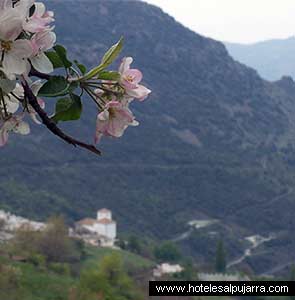 Vistas del Barranco de Poqueira